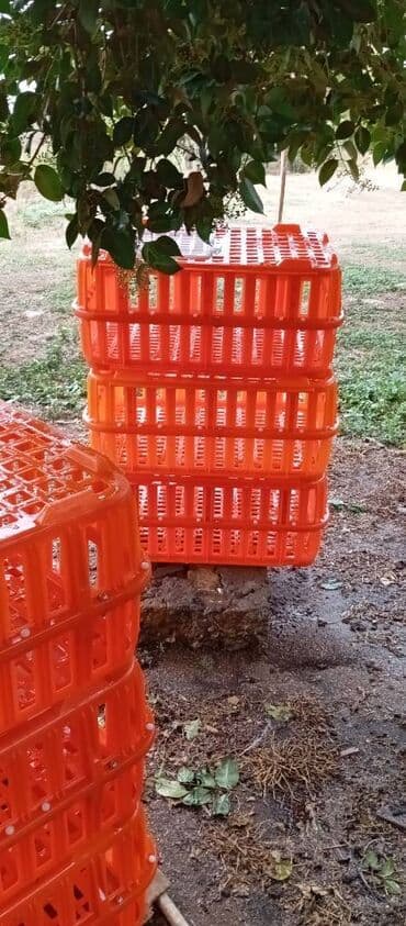 it satışı: Təcili satılır.6 ədədi 240manat — 4