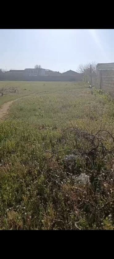 sahə: Tikinti, Mülkiyyətçi, Kupça (Çıxarış) — 3