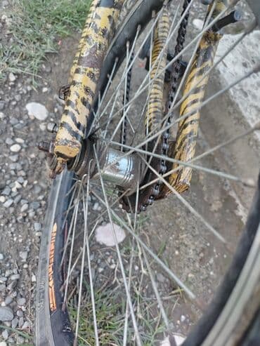 купить детскую коляску бу: İki təkərli Uşaq velosipedi Rambo, 20", sürətlərin sayı: 1 — 3