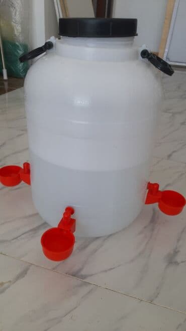 hinduska cucesi: Yem qabı, Su üçün, Quşlar üçün, Ünvandan götürmə, Ödənişli çatdırılma, Rayonlara çatdırılma — 2