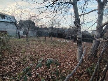 20 yanvar kiraye: 3 sot, Tikinti, Mülkiyyətçi, Kupça (Çıxarış) — 2