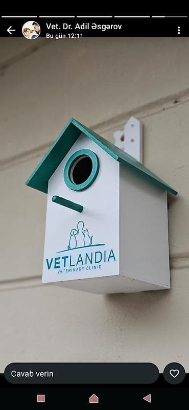 derzi qusu: Quş yuvası Sağlam və uzunömürlü ekoloji təmiz . Səliqəli və zövqlü — 5