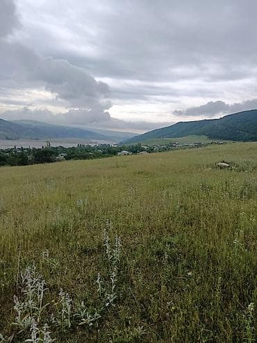 300 sot, Biznes üçün, Barter mümkündür, Kupça (Çıxarış) — 2
