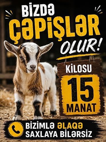KİM İSTESE YAZSİN