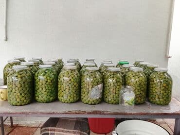 xarı bülbül icon: Zeytun 12 AZN — 2