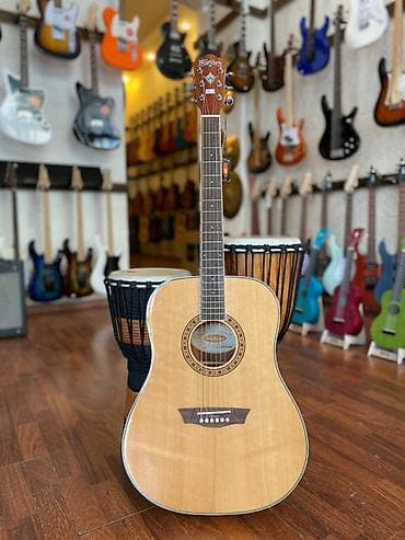 gitara çexolu: Wasburn WD7S-A Çatdırılma xidmətimiz mövcuddur. Həftənin 7 günü — 1
