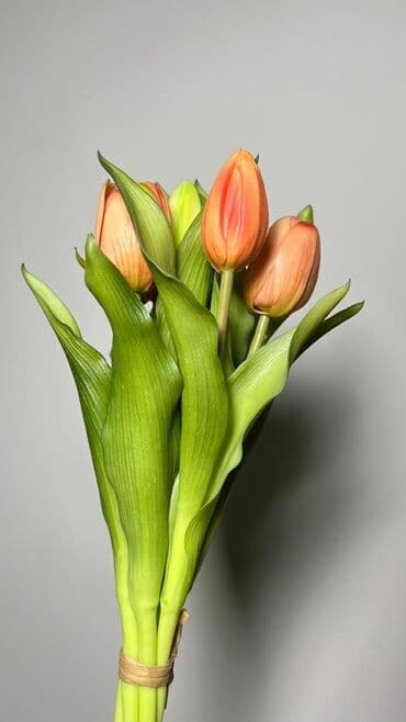 tülpan gülü haqqında: Məhsul: Tülpan gulleri - Rənglər: Şaftalı-narıncı və ağ tonlarda — 2