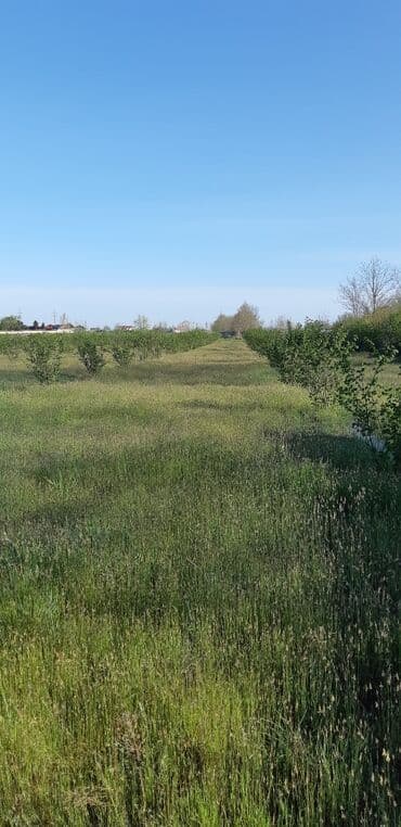 balaxanıda ucuz torpaq 2020: 67 sot, Kənd təsərrüfatı, Mülkiyyətçi — 4