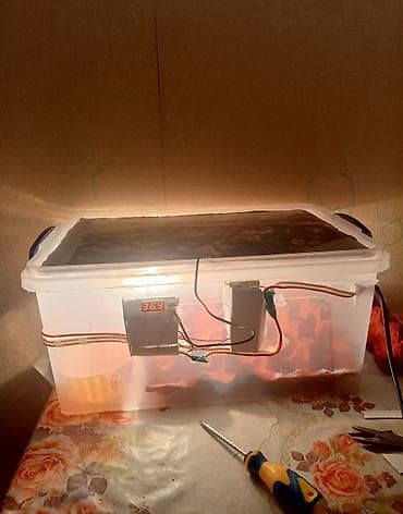 Оборудование для мойки: Азербайджан, Полностью автоматическая, Для всех видов птиц, Инстуркция на азербайджанском языке — 1