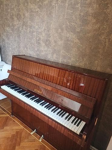 PETROF Upright piano - Brend/model: PETROF (upright/şaquli piano) - — 2