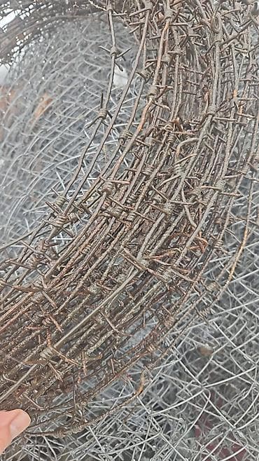 bayraq sekili: Məhsul: tikanlı məftil rulonları Təsvir: - Kənd təsərrüfatı — 5