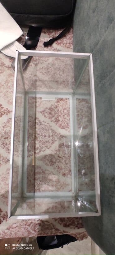 аквариум баку: 6ldir işlenmeyib ünvan xırdalan — 3