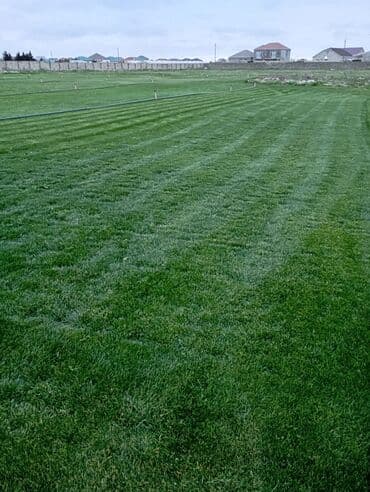 Digər tikinti xidmətləri: Ummi abadliq xidmeti torpaq lazmdisa torpaq getrib yaymaq duždeşdirib — 14