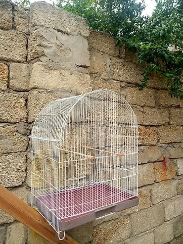 Heyvanlar üçün mallar: Taxta dirəkləri olan, ağ rəngli metal quş qəfəsi. Qəfəsin altında quş — 2