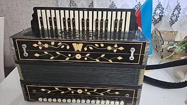 10 cent nece manatdir: Akustik Akkordeon — 3