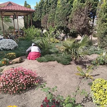 Tikinti və təmir: Pejaj və landşaft xidmətləri - Həyətyanı sahələrin tam — 2