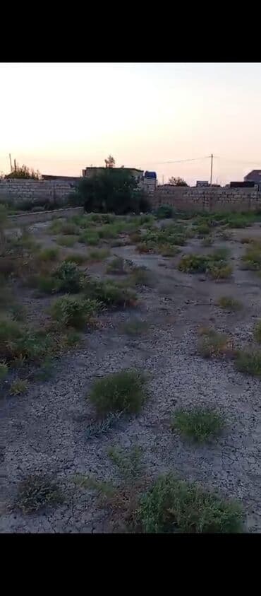 lənkəranda tələbələr ucun kirayə evlər: 6 sot, Tikinti, Barter mümkündür, Müqavilə — 2