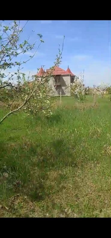 2 sot torpaq satilir: 8 sot, Kənd təsərrüfatı, Mülkiyyətçi, Bələdiyyə — 9