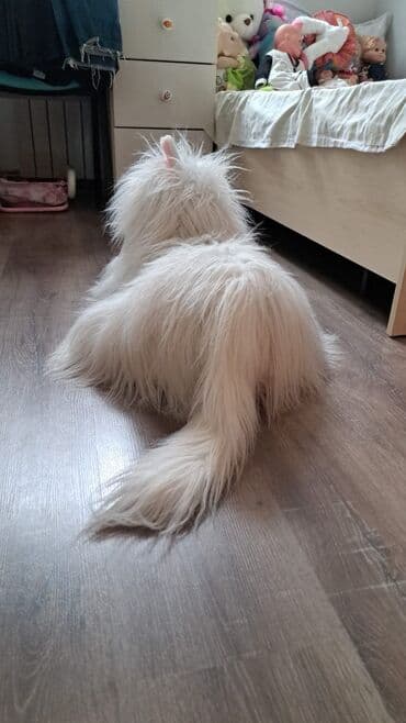 bəzəkli rəqəmlər: Yumuşaq oyuncaqlar Otaqda həm bəzək kimi, həm də sarılıb rahatlanmaq — 2