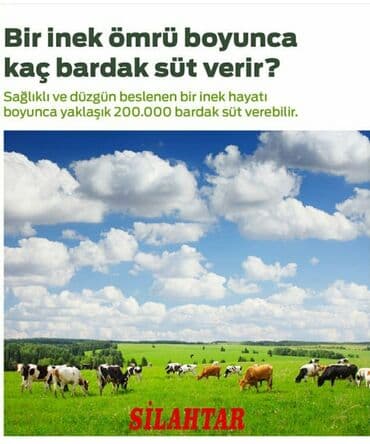 sud sagmaq ucun aparat: Tək bidon, Türkiyə, Paslanmaz bidon — 7