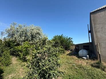 3 sot, Tikinti, Mülkiyyətçi