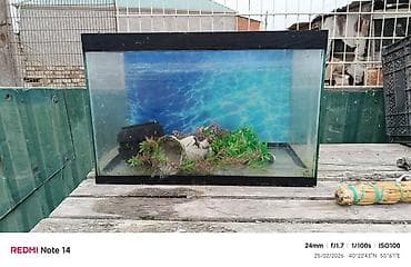 yumru akvaryum: Dördbucaq akvarium, Boş, 25 l, Ünvandan götürmə — 1