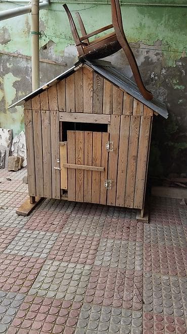 ankara pişiyi: Taxta it evi / dam - Material: təbii taxta lövhələr, möhkəm karkas - — 2