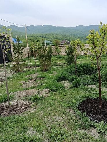 buzovnada kiraye evler 2026: Bağ yerləşir xızıda Xələnc kəndində düz meshanin yanında — 10
