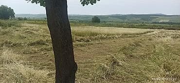 kurdaxanida heyet evleri: 128 sot, Biznes üçün, Mülkiyyətçi, Bələdiyyə — 5