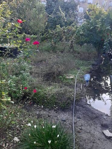 torpağ sahesi: 7 sot, Tikinti, Makler, Kupça (Çıxarış) — 6