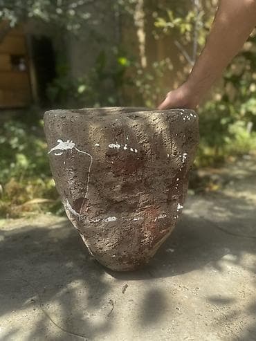 bitki guli: 30 ilden coxdur bizdedir islekdir — 3