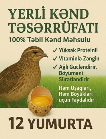 ordək yumurta: Məhsul: Bildirçin yumurtası Təsviri: - Yerli kənd təsərrüfatından — 3