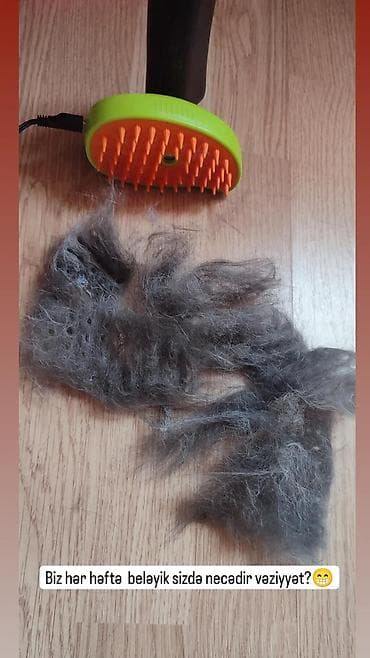 pişik əşyaları: Ev heyvanları üçün elektrikli tük yığan və masaj edən daraq - — 4