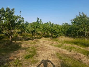 дачные участки купить: 10 соток, Собственник, Купчая — 3