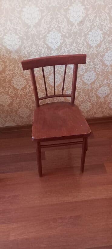 Bitkilər: Mətbəx üçün, Qatlanmayan, Stul — 1