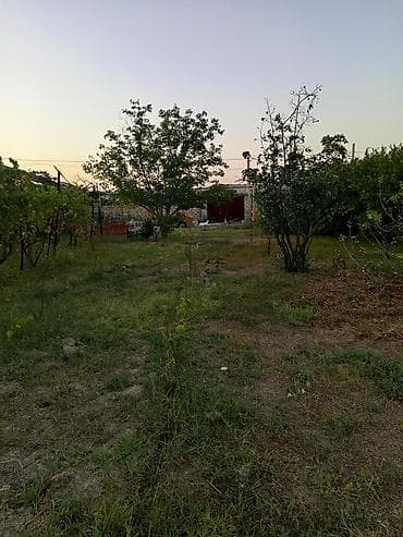 serifzadede satilan evler: Mingəçevir, 9 kv. m, 1 otaqlı, Hovuzsuz, Su — 10