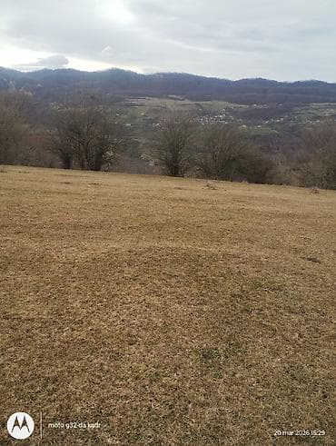 turkanda heyet evleri 2020: Kənd təsərrüfatı — 3