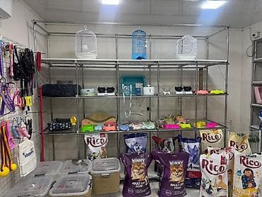 kanqal satilir: Zbor satilir suseli vitrin 250 sadesi 200 istenilen formada — 1
