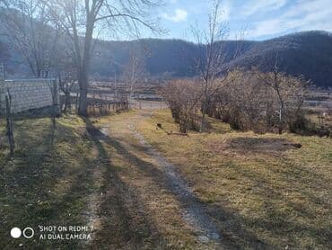 Mənzillər: 11 sot, Tikinti, Mülkiyyətçi, Kupça (Çıxarış) — 8