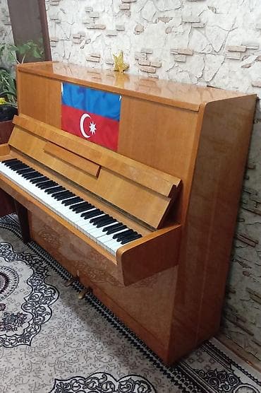 Kitablar və jurnallar: Akkustik vertikal piano - Korpus: açıq qəhvəyi laklanmış ağac — 3