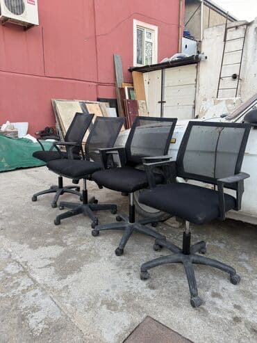 broiler yumurta satışı: Ofıs kreslo ıwleydı — 2