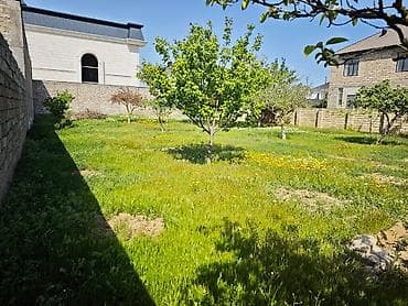 Otaqlar: 6 sot, Makler, Kupça (Çıxarış) — 5