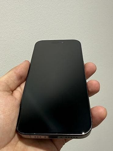 i̇pone 8: IPhone 15 Pro, 256 GB, Space Gray, Face ID — 2
