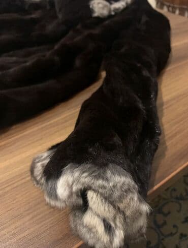 türk istehsalı olan qadın şubaları: Kürk, Milano, S, rəng - Qara — 5