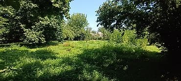 15 соток, Для сельского хозяйства, Собственник — 1
