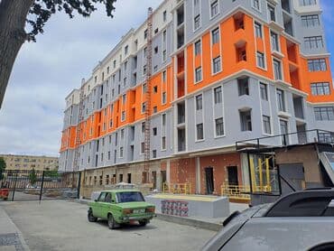 panda boya: Краска — 1