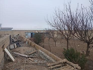 ev alan: 8 sot, Tikinti, Barter mümkündür, Kupça (Çıxarış) — 7