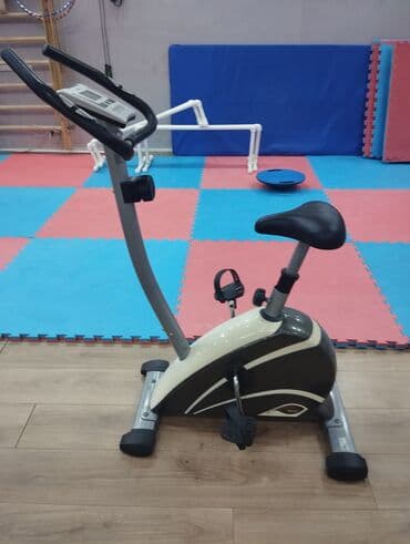 Информатика: Velotrenajer — 1