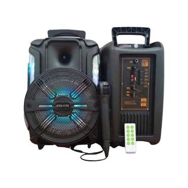 Səsucaldan kalonka Kod dp32345150 Blutuz Flashkart Usb Mikrofon