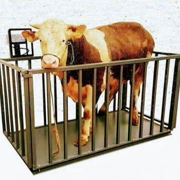 depilyasiya, epilyasiya vasitələri: Terezi satilir — 5